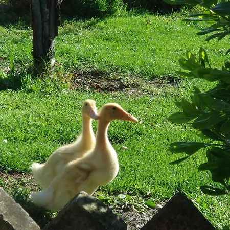 Bed & Breakfast La Spighetta *