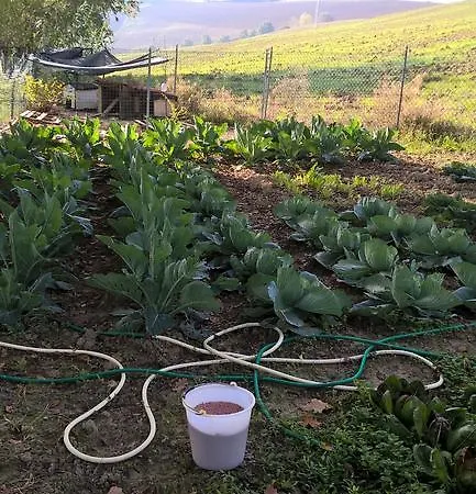 La Spighetta Bed & Breakfast