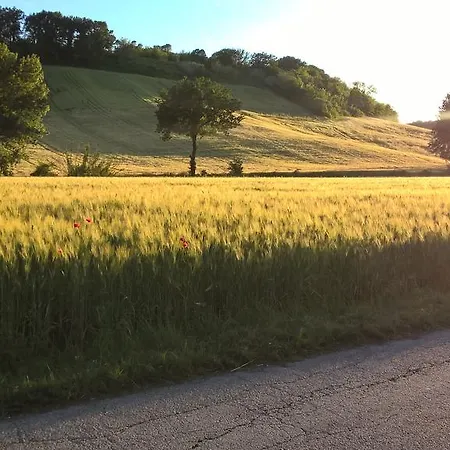 La Spighetta Bed & Breakfast